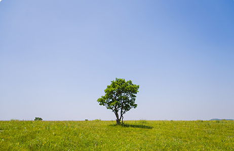 完善制度，规范流程，严酷推行信息披露义务