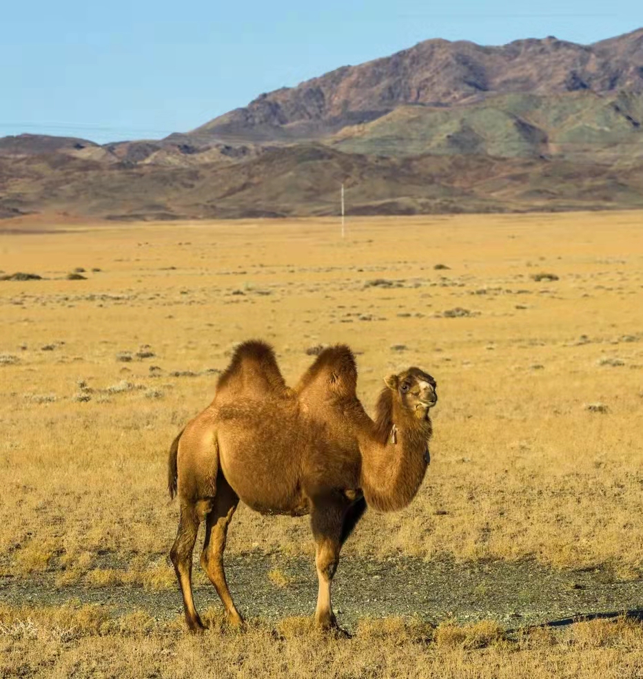 AG真人·国际(中国游)平台官方网站