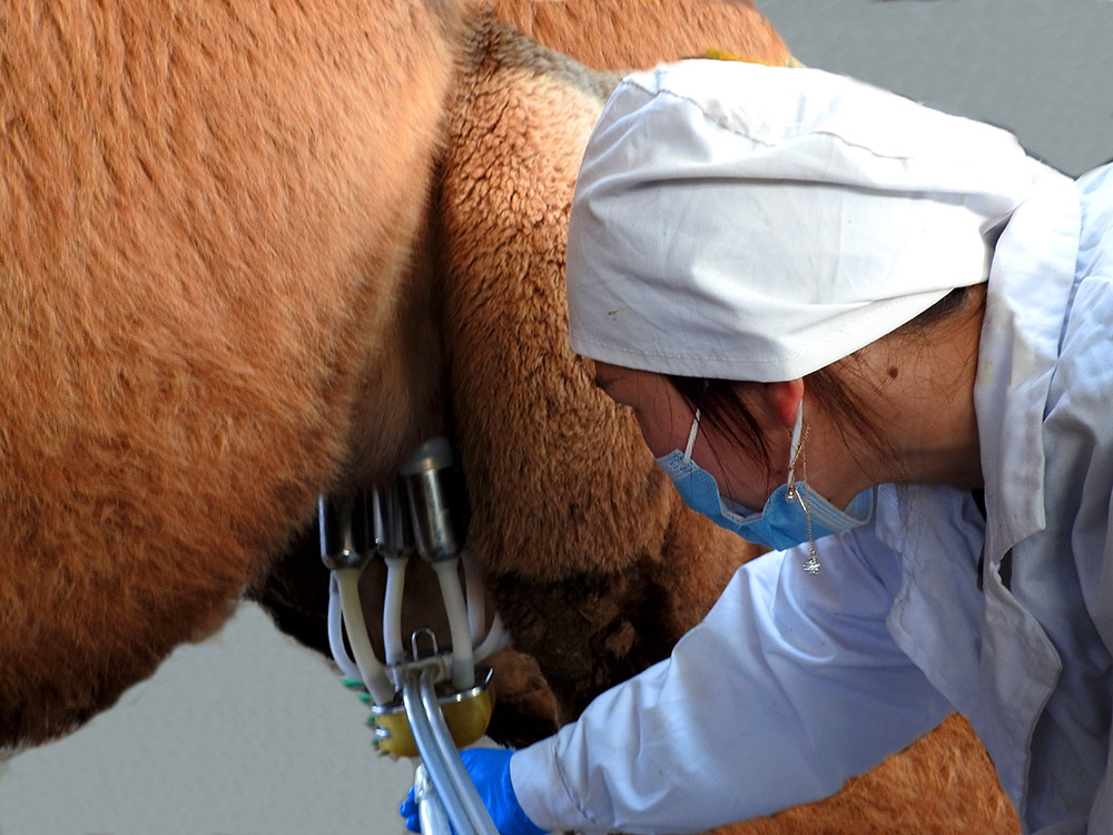 AG真人·国际(中国游)平台官方网站